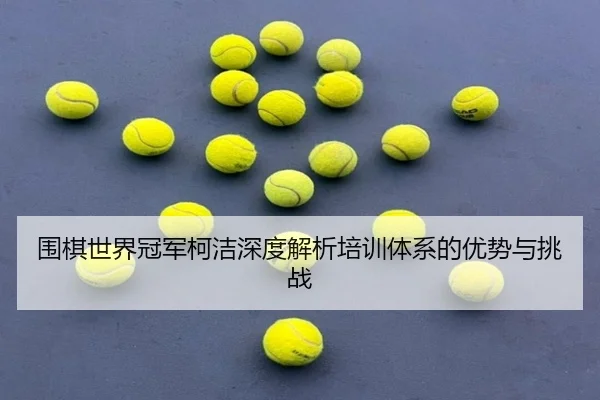 围棋世界冠军柯洁深度解析培训体系的优势与挑战